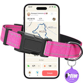 PawDuct reflective dog collar with 360-degree visibility for safer night walks