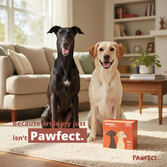 Pawfect dog poop bags rolls unscented design keeps handling odor-free.