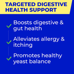 PAWFECTCHEW digestive enzymes with pumpkin fiber in a bowl showcasing gut-friendly daily care.