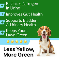 PAWFECTCHEW Green Grass Dog Chews biscuit-like chews demonstrate easy, chewable format.