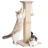 Pawfessor base with double-layer plush showing stability for energetic big cats.