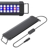 Pawfly 11W terrarium light front view shows vivid spectrum for clearer reptile visuals