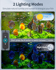 Pawfly 33W LED light night mode uses blue light for nighttime ambiance and calm viewing.
