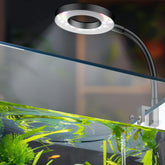 Pawfly 6W LED clip-on light for small tanks delivering bright full-spectrum illumination.