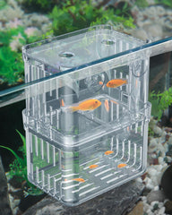 Pawfly Aquarium Breeding Box front view for easy fry monitoring.