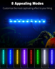 Pawfly aquarium light inside tank providing even glow for underwater scenes.