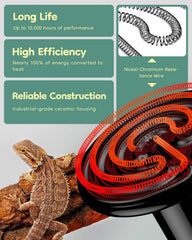 Pawfly Industrial Ceramic Housing resists moisture and heat in reptile setups.