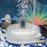 Pawfly mini aquarium sponge filter setup shows easy install and reliable basic filtration.