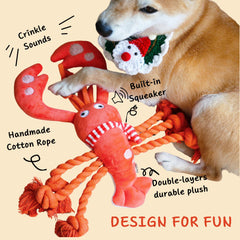 Pawfoo Lab lobster toy squeaker head encourages engaging sound-led play