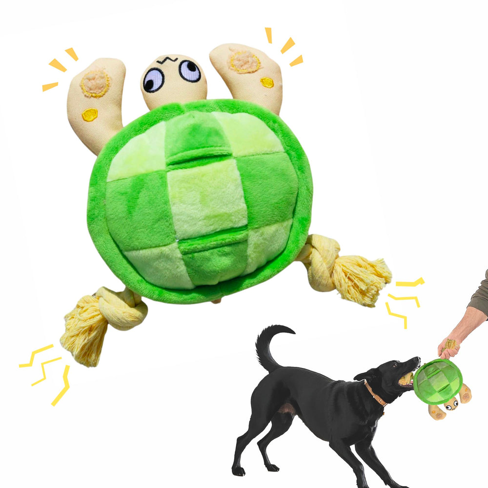 Pawfoo Lab turtle toy squeaker engages dogs during playtime