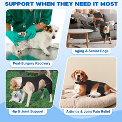 Pawfun dog knee brace elastic-panel offers broader support with natural movement.