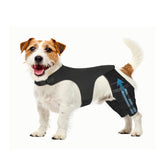 Pawfun dog knee brace front view shows adjustable hind-leg support for daily comfort.