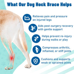 Pawfun dog leg brace with two removable metal strips for adjustable support.