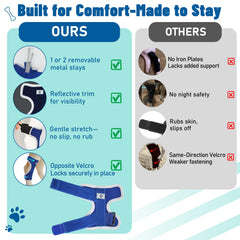 Pawfun hock brace delivers secure, slip-free fit during active moments.