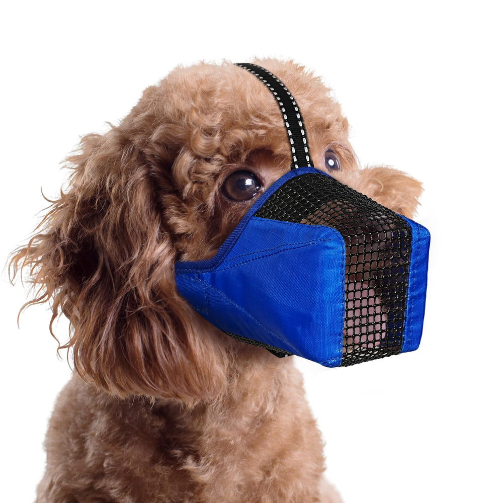 Pawfun mesh dog muzzle front view blue XS promotes safer outings and calm walks.