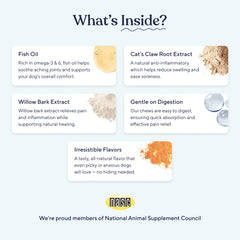 Pawfy Advanced Pain Management chews empower a dog to run with improved joint mobility