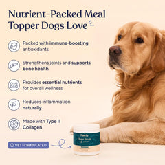 Pawfy Bone Broth ingredients scene highlights natural flavors for dogs.