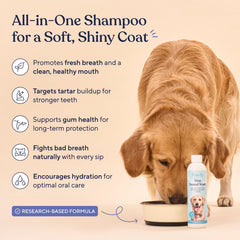 Pawfy dog breath freshener water bowl dispense shows easy daily addition for healthier mouth