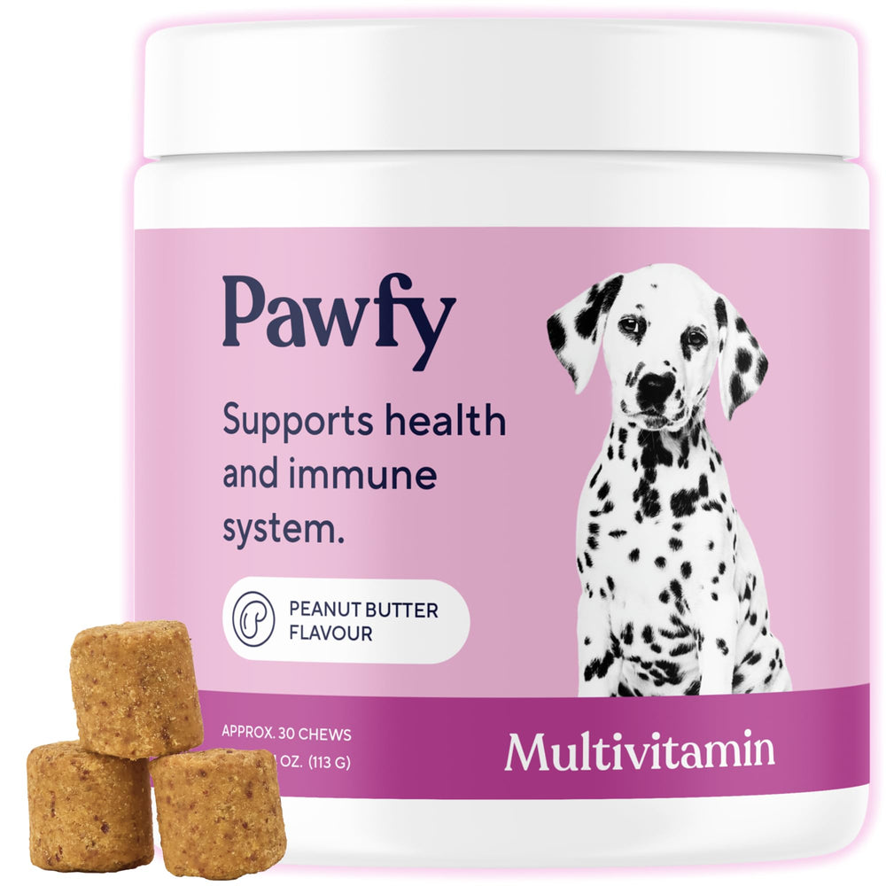 Pawfy Dog Multivitamins 15-in-1 bottle supports overall wellness and vitality.