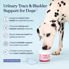 Pawfy dog UTI supplement D-Mannose bottle highlights urinary tract support for senior dogs.
