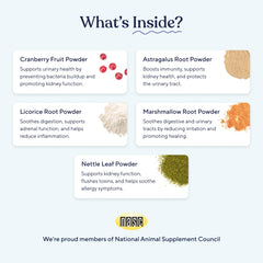Pawfy UTI supplement soft-chews closeup emphasizes tasty daily urinary health aid.
