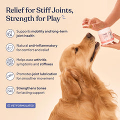 Pawfy glucosamine chondroitin chews on package for joint health support.