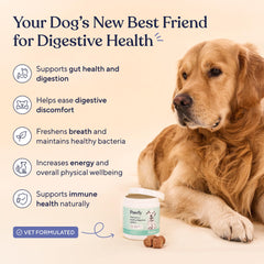 Pawfy probiotics chews closeup highlights tasty treat for dogs