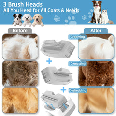 Pawimood steam brush heads attachments for deshedding, dematting, and daily grooming.