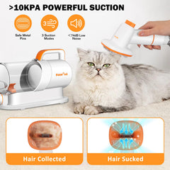 PAWING grooming kit close-up showing clippers and brush for detangling