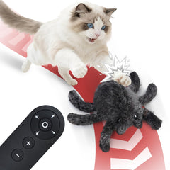 Pawingcat horror spider toy front view for interactive indoor play
