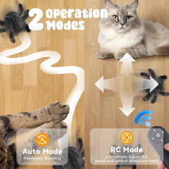 Pawingcat remote-control spider movement for chasing play