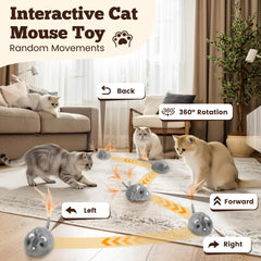 Pawingcat safe soft-material plush for gentle paw interaction