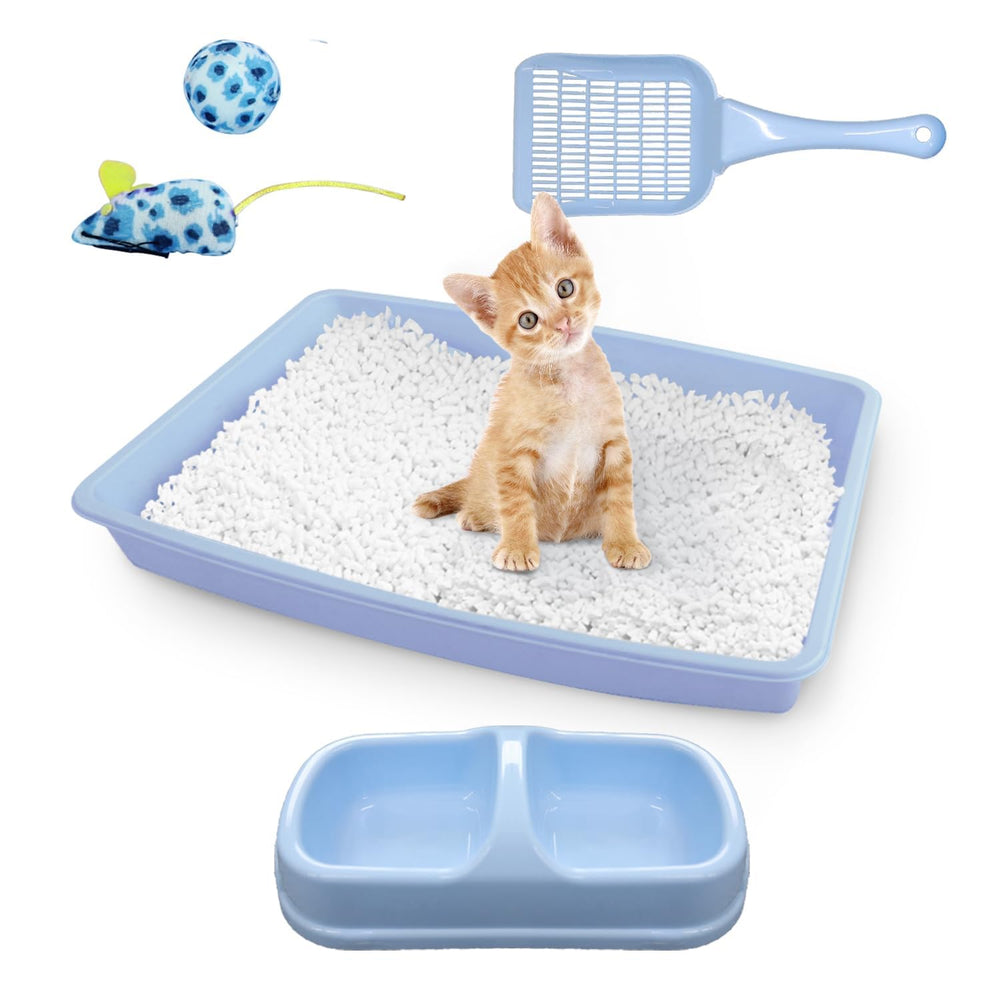 PAWISE cat litter box set with low-entry design for easy kitten access.