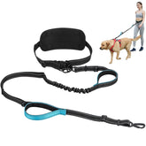 PawistaPal hands-free leash waistband on dog delivers secure, comfortable walks.