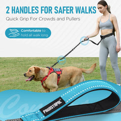 PawistaPal metal safety buckle keeps leash securely fastened in crowded areas.