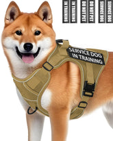 PawistaPal service dog vest front clip for quick control during busy street walks