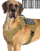 PawistaPal service dog vest for large dogs front view showing the front clip for controlled walks.