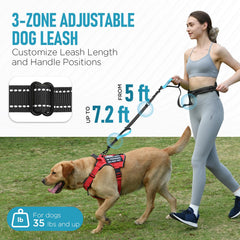 PawistaPal waist-bungee leash absorption cushions sudden pulls during runs.