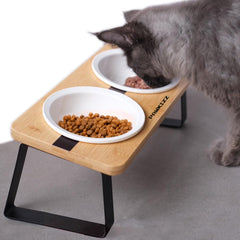 Pawkizz elevated cat bowl tilt highlights a 15-degree angle for comfortable dining and easier posture