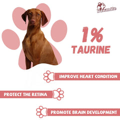 Pawmate treats in hand highlight long-lasting chew for mental stimulation.