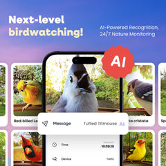 Pawmendous bird feeder camera side angle shows weatherproof design for year-round use