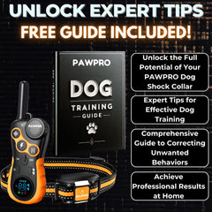 PAWPRO 124 training levels allow tailoring feedback to each dog's temperament.