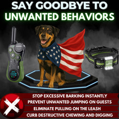 PAWPRO night light mode on collar aids training in low light conditions.