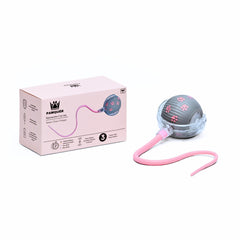 PAWQUÉR interactive cat toy in chase-action promotes active indoor play and movement.