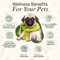 Paws Boom dandelion root image highlighting detox and digestion support