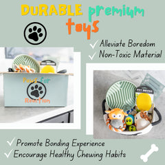 Paws For Reaction two squeaky plush toys provide interactive playtime