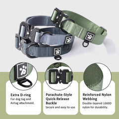 PAWS PASSION adjustable large-dog collar showing snug fit