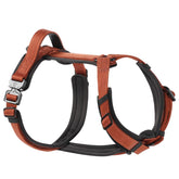 PAWS PASSION small dog harness front view shows secure, no-pull fit for calm walks.