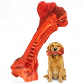 Paws Power dog chew toy bone shape with beef flavor for engaging chewing sessions.