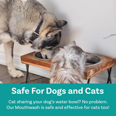 PawSafe dog mouthwash fresh breath visual hints at longer-lasting mouth cleanliness.
